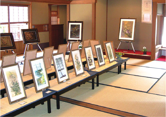 週末展示プラン